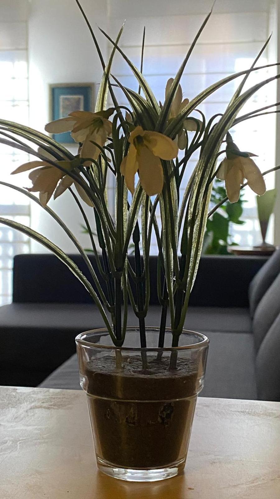 La Lana Apartamento 萨莫拉 外观 照片